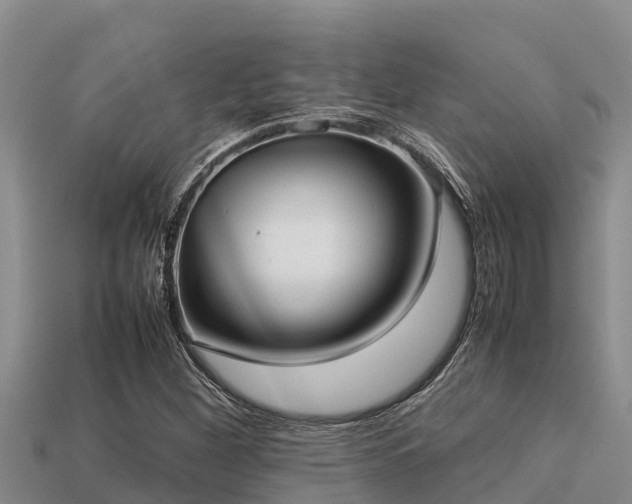 X0000113211260200909171527