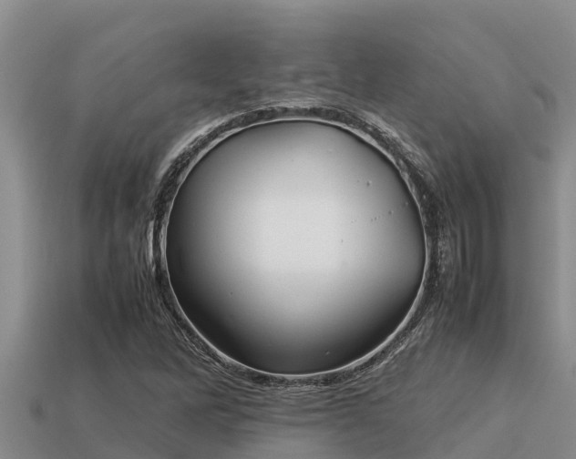 X0000113211262200909171527