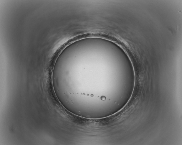 X0000113211263200909171527