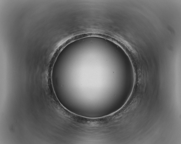 X0000113211264200909171527