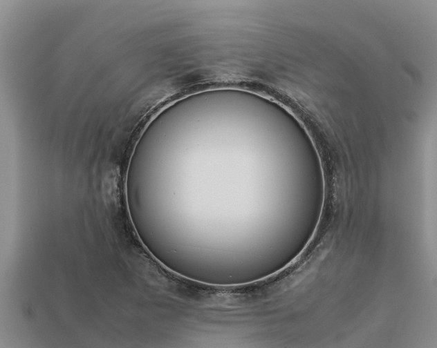 X0000113211265200909171527