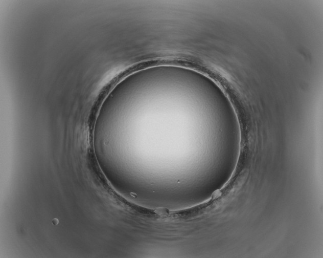 X0000113211267200909171527