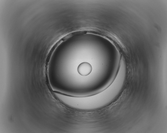 X0000113211268200909171527