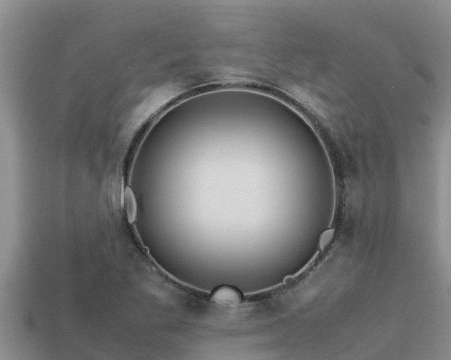 X0000113211269200909171527