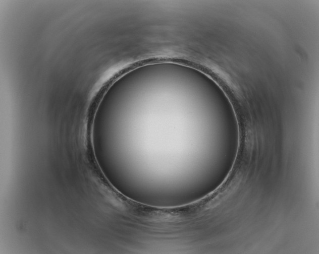 X0000113211270200909171527