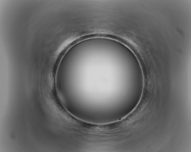 X0000113211271200909171527