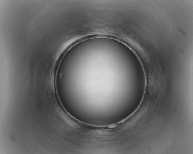 X0000113211272200909171527