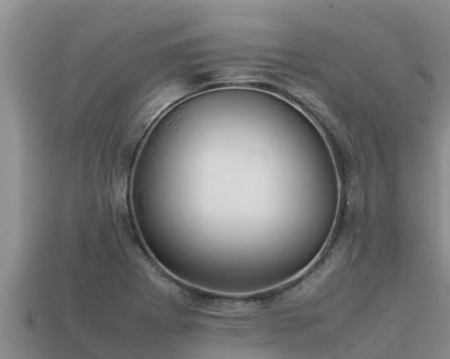 X0000113211273200909171527