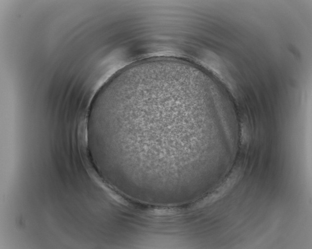 X0000113211274200909171527