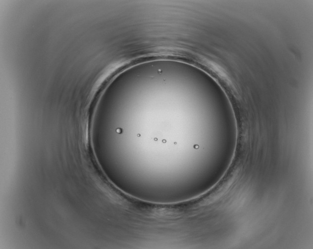 X0000113211275200909171527