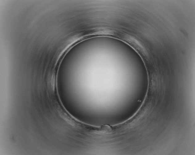 X0000113211276200909171527