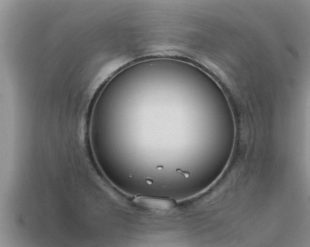 X0000113211277200909171527