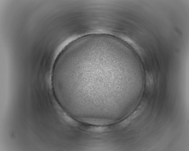 X0000113211278200909171527