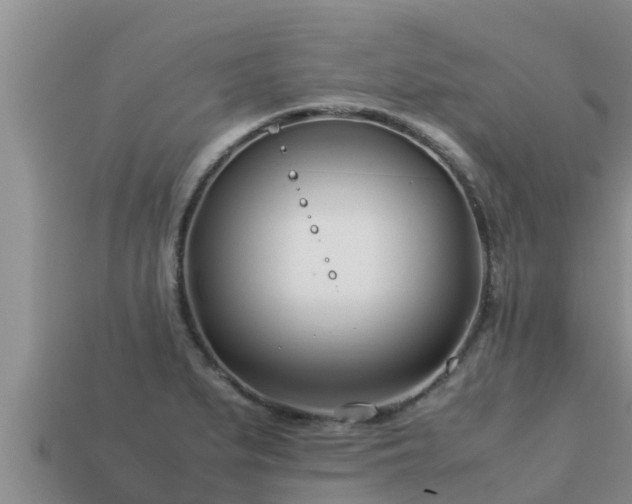 X0000113211279200909171527