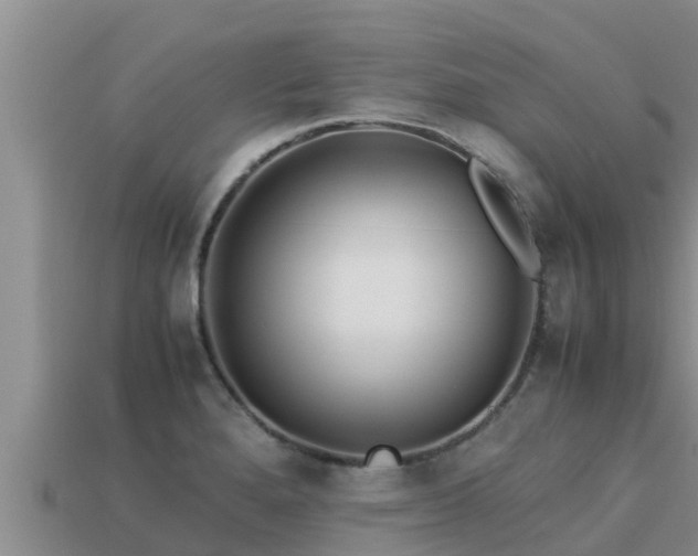 X0000113211280200909171527