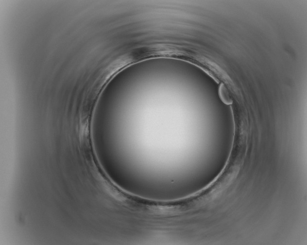 X0000113211281200909171527