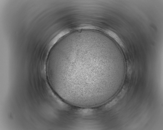 X0000113211282200909171527