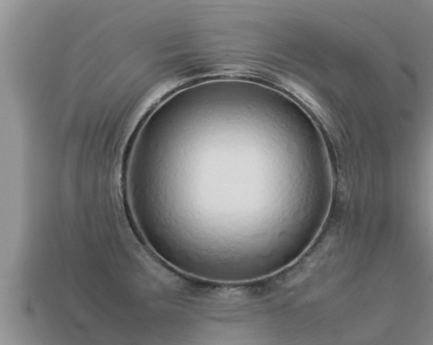 X0000113211283200909171527