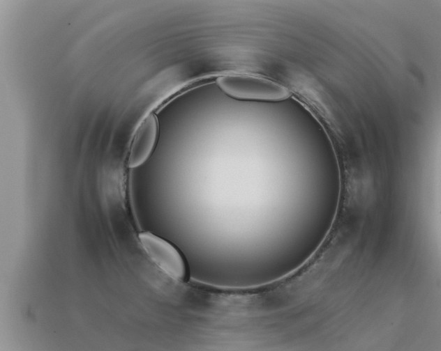 X0000113211284200909171527