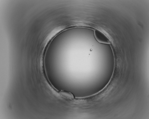 X0000113211285200909171527