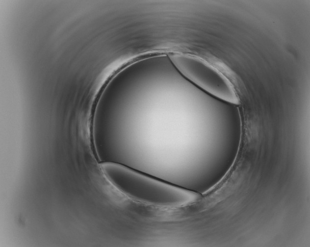 X0000113211288200909171526