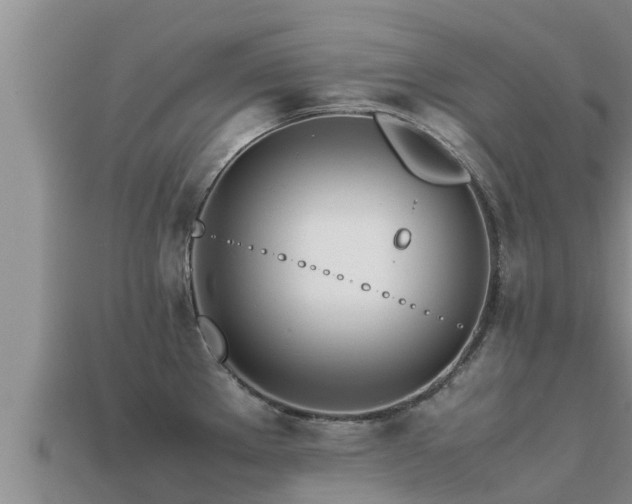 X0000113211289200909171526