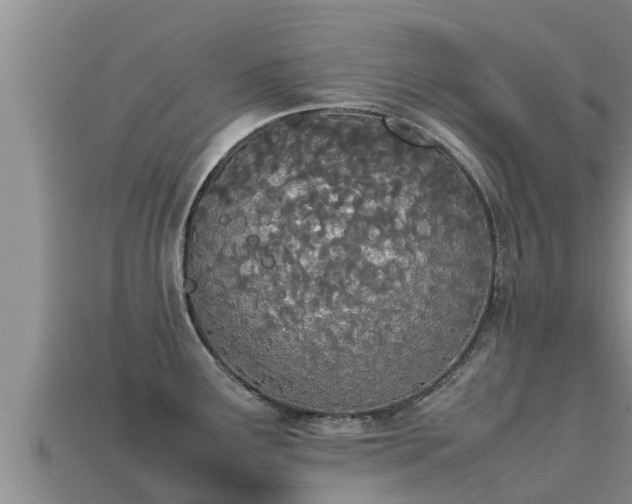 X0000113211291200909171526