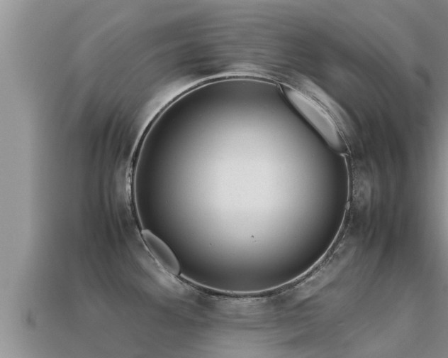 X0000113211292200909171526