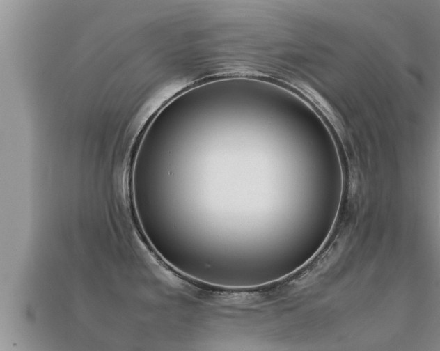 X0000113211293200909171526