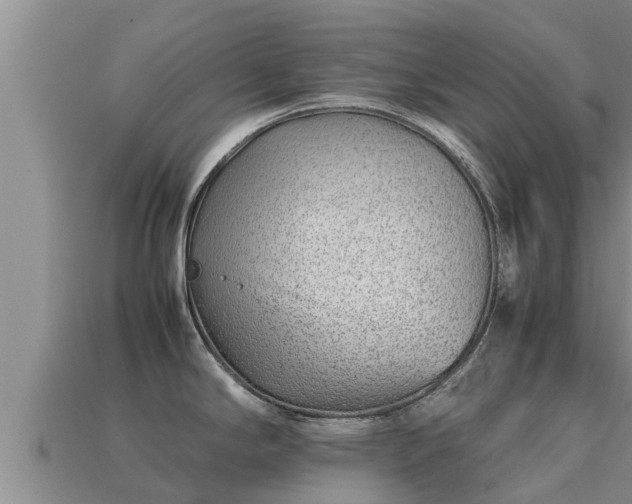 X0000113211294200909171526