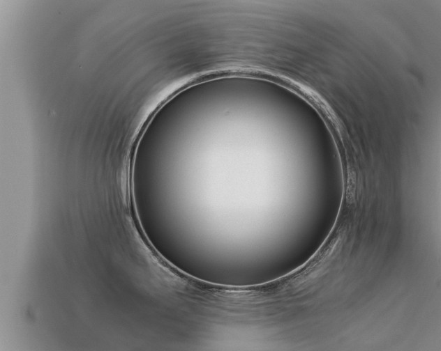 X0000113211295200909171526