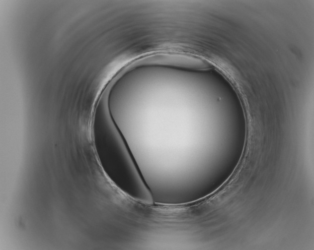 X0000113211296200909171526