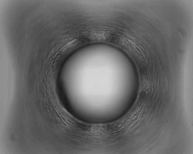 X0000113211297200909171526