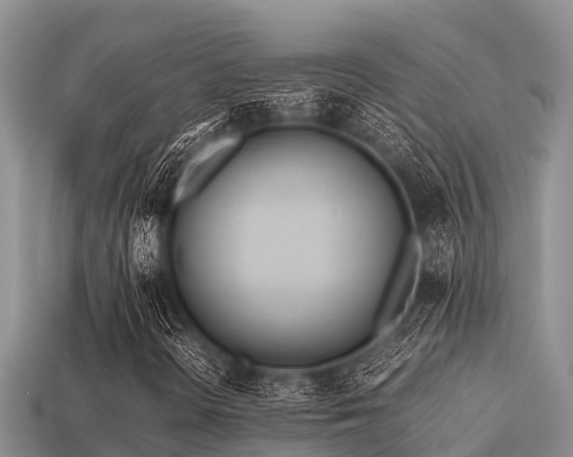 X0000113211298200909171526