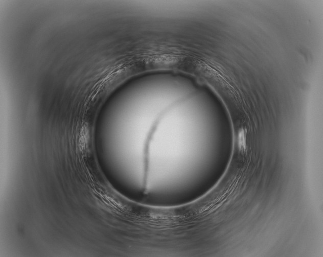 X0000113211299200909171526