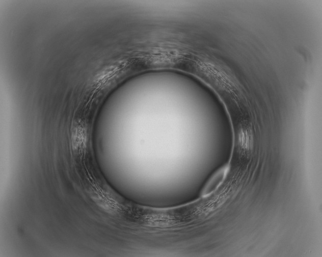 X0000113211300200909171526