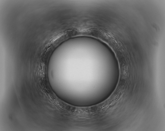 X0000113211301200909171526