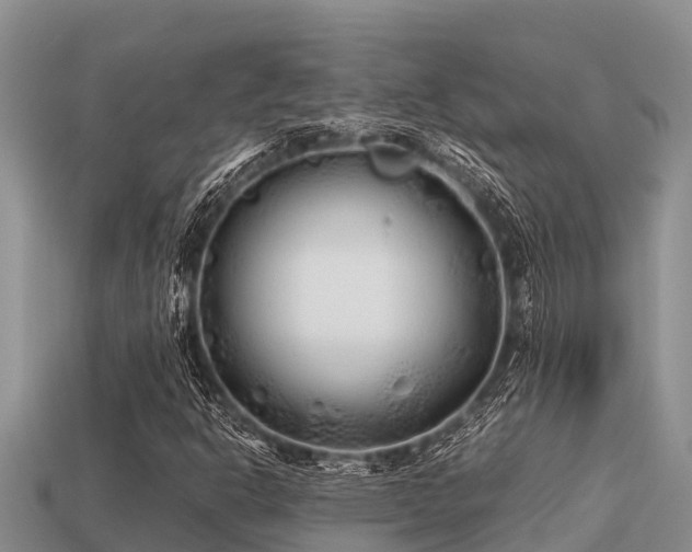 X0000113211302200909171526