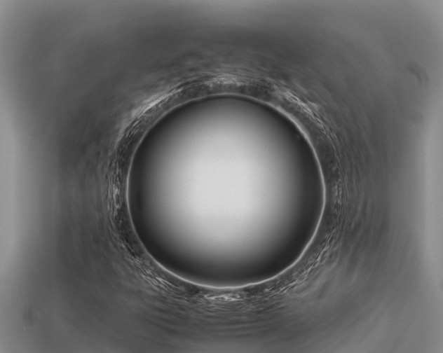 X0000113211303200909171526