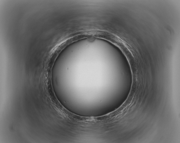 X0000113211304200909171526