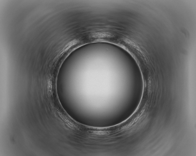 X0000113211305200909171526