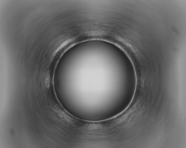 X0000113211306200909171526