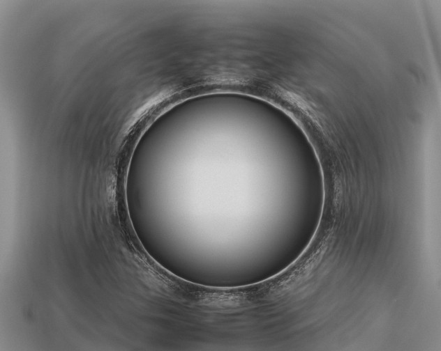 X0000113211307200909171526