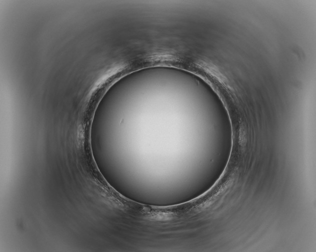 X0000113211309200909171526