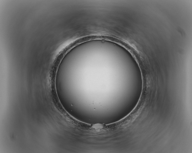 X0000113211311200909171526