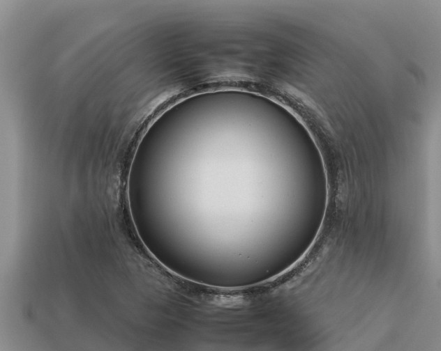 X0000113211313200909171526