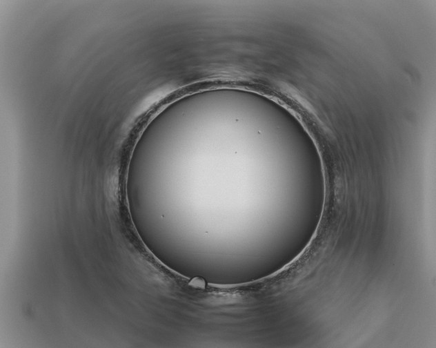 X0000113211315200909171526