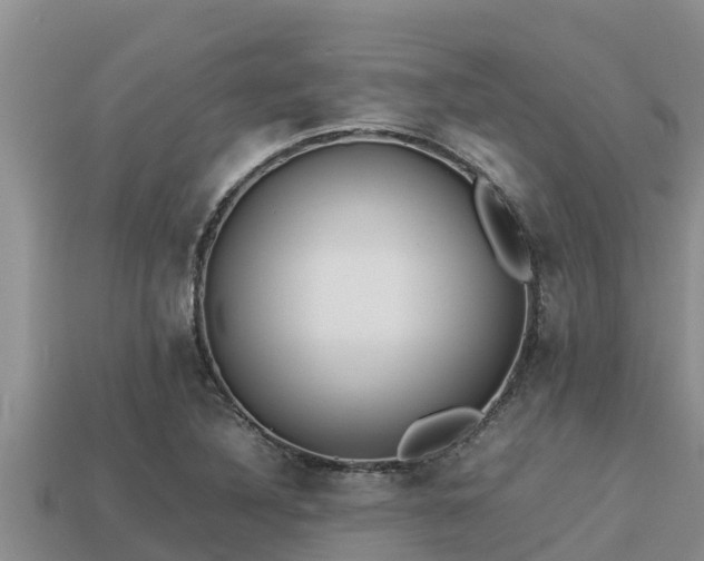 X0000113211316200909171526