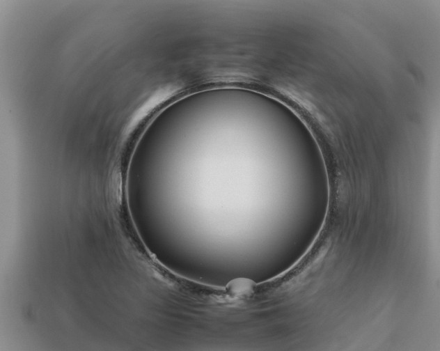 X0000113211317200909171526