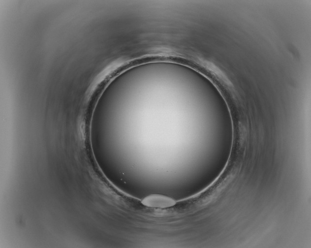 X0000113211318200909171526